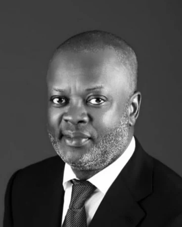 Adewole Adeosun portrait